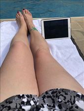 by mitann, Views[233]