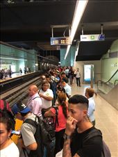 by mitann, Views[234]