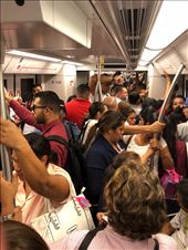 by mitann, Views[229]