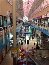 by mitann, Views[196]