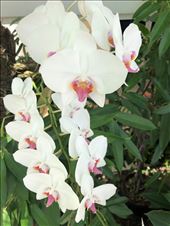 by mitann, Views[217]