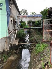 by mitann, Views[205]