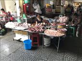 by mitann, Views[379]