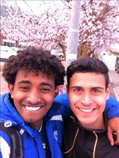 by miteku-ayene, Views[208]