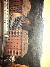 by miteku-ayene, Views[155]