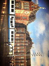 by miteku-ayene, Views[213]