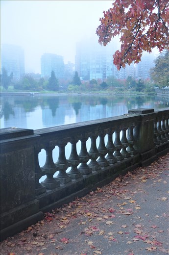 Finally the sun breaks through the weeks-long fog, drawing people back outdoors.