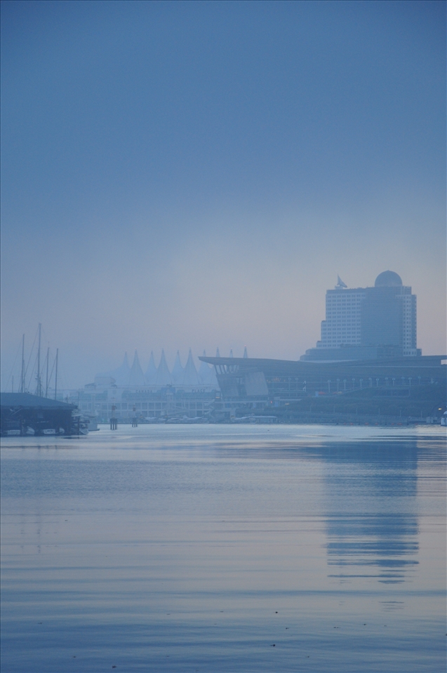With fog so thick work had to be halted in the harbour, including use cranes.