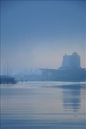 With fog so thick work had to be halted in the harbour, including use cranes.: by mjenki01, Views[222]