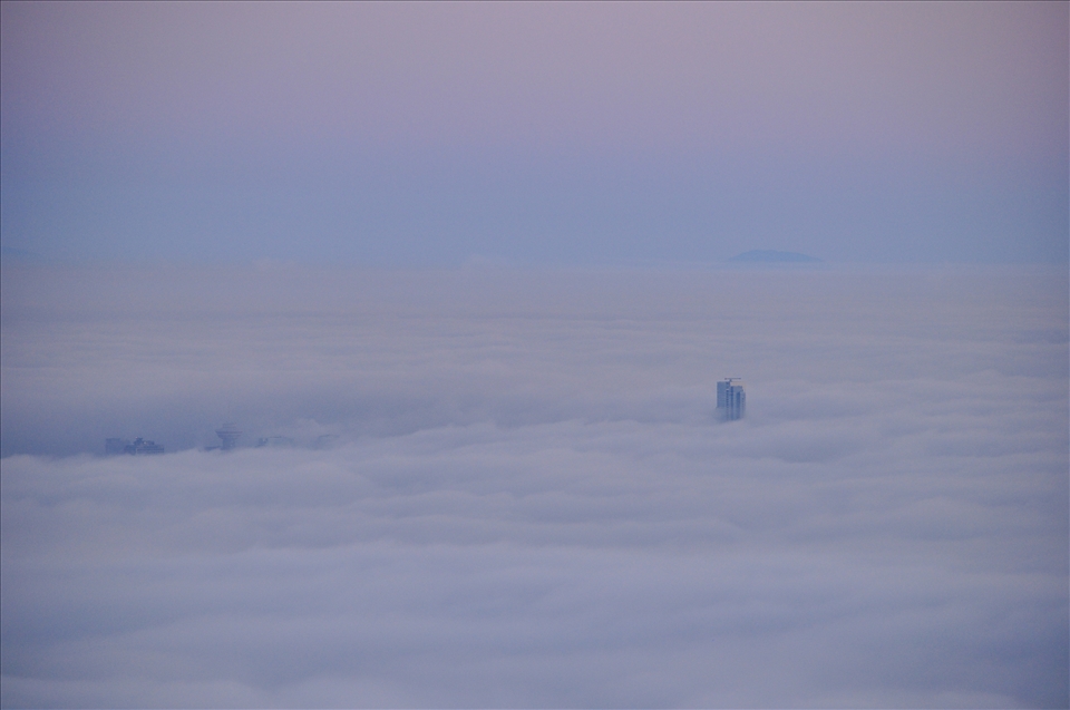 Vancouver's tallest building appear above the fog seeming to slice through it.