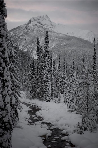 Donned in snowshoes, those with the eagerness to truly appreciate the beauty that is a Canadian winter are rewarded with stunning views while traveling by foot throughout the backcountry.  Although many rivers and lakes do freeze over during the cold winter months, many are fast flowing, keeping the frigid ice from creeping in and closing off its water to the outside world.

Illecillewaet Valley, Roger’s Pass, British Columbia, Canada
