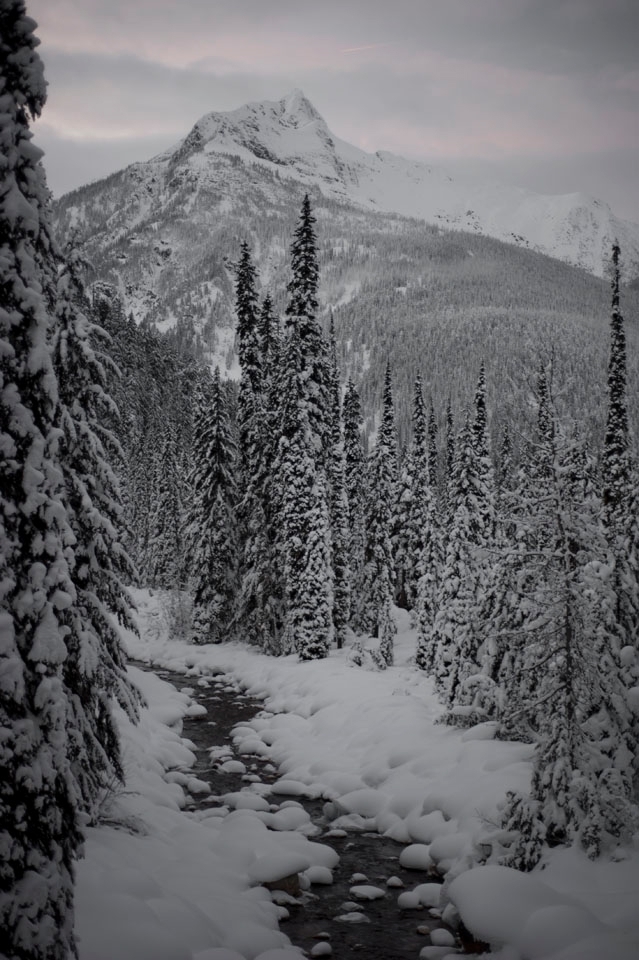 Donned in snowshoes, those with the eagerness to truly appreciate the beauty that is a Canadian winter are rewarded with stunning views while traveling by foot throughout the backcountry.  Although many rivers and lakes do freeze over during the cold winter months, many are fast flowing, keeping the frigid ice from creeping in and closing off its water to the outside world.

Illecillewaet Valley, Roger’s Pass, British Columbia, Canada
