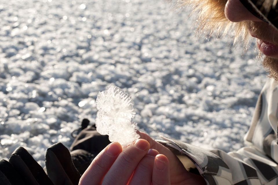 Upon freezing over, there is something to be said about the frozen lakes of the Rockies.  Surface Hoar Feathers are one of nature’s miracles, typically forming when a surface warms up during the day and is then cooled again overnight.  The night air-cools the surface of the snow so that water can evaporate from inside and recrystalize on the surface.  By morning the ice is covered with a layer of faceted ice crystals creating these beautiful and unique structures.

Lake Minnewanka, Banff, Alberta, Canada
