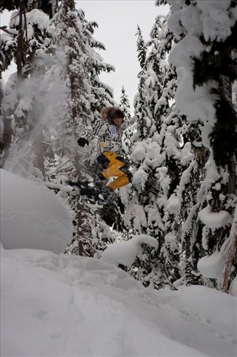 While out exploring the backcountry on snowshoes, it can be hard to resist playing in the soft snow that stretches out before one’s eyes in a flawless white blanket.  Jumping off of snow-covered rocks into the fluffy white powder below is truly a euphoric feeling.

Illecillewaet Valley, Roger’s Pass, British Columbia, Canada
