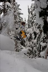 While out exploring the backcountry on snowshoes, it can be hard to resist playing in the soft snow that stretches out before one’s eyes in a flawless white blanket.  Jumping off of snow-covered rocks into the fluffy white powder below is truly a euphoric feeling.

Illecillewaet Valley, Roger’s Pass, British Columbia, Canada
: by mkrauss, Views[456]