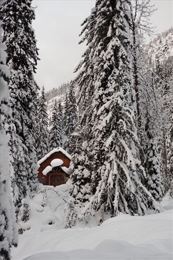 After a long day of touring around throughout the Canadian winter wonderland, there is nothing like approaching the backcountry hut you will be spending the night in.  Nestled among the pine and spruce trees, smoke billowing from the chimney, the crisp chill in the air seemingly disappears as you imagine entering into the warmth of the cabins log walls.
  
A.O. Wheeler Hut, Roger’s Pass, British Columbia, Canada
