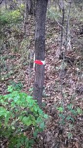 Sad signs of the devastating explosion that killed 15 people are everywhere, even in the mountain: by mladen, Views[203]