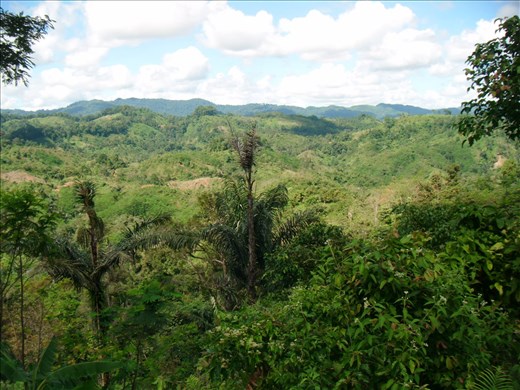 Lush green valley spoil our eyes enroute to Kanekes Village.