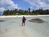 Green coconut trees on white sandy beach. So refreshing. Wasn't it, Ayu Angela?: by mlakumlaku, Views[199]