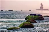 Seaweed covered rocks lead the eye to the Orient Point (Coffee Pot) lighthouse n: by mlau774, Views[216]