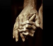 Not ever wanting to let go, a son grasps the hand of his aging mother at a nursi: by mlau774, Views[182]