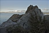 Detail of Rock on top of the Hill in Worser Bay, Wellington, NZ: by mlcn, Views[217]