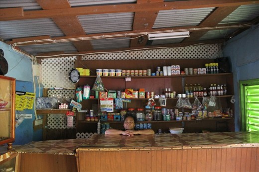 Ma Ricky’s shop served as the hub for the small rural village of Salybia.  The people of the area generally subsisted on unprocessed food that came straight from the earth – ground provisions, fish, fresh fruit – but just about anything else that they needed could be found at Ma Ricky’s sparsely stocked shop.  It seemed that everyone truly appreciated how much the land provided for them, although many wished they had some more cash in hand to buy material goods. The fact that land cannot be sold in the territory means that while land often remains in family hands and is used for farming, it cannot be used as collateral for loans, making progressing out of material poverty a serious challenge.