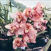 by mlodius, Views[260]