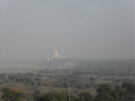 View of Taj Mahal from Agra Fort