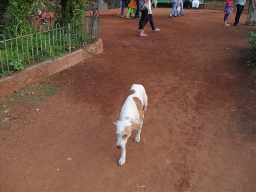 Mumbai - Hanging Gardens