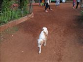 Mumbai - Hanging Gardens: by mlodius, Views[158]