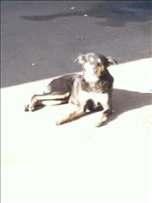 Ahmedabad: by mlodius, Views[130]