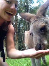 by mm12767, Views[629]