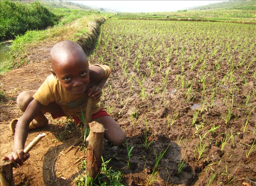 I met this young farmer on my journey to find and test the District's water pumps. He wanted to show me what he was growing. He was proud of his field, but wanted my approval nonetheless. My two thumbs up gave me a shiny smile from cheek to cheek. 