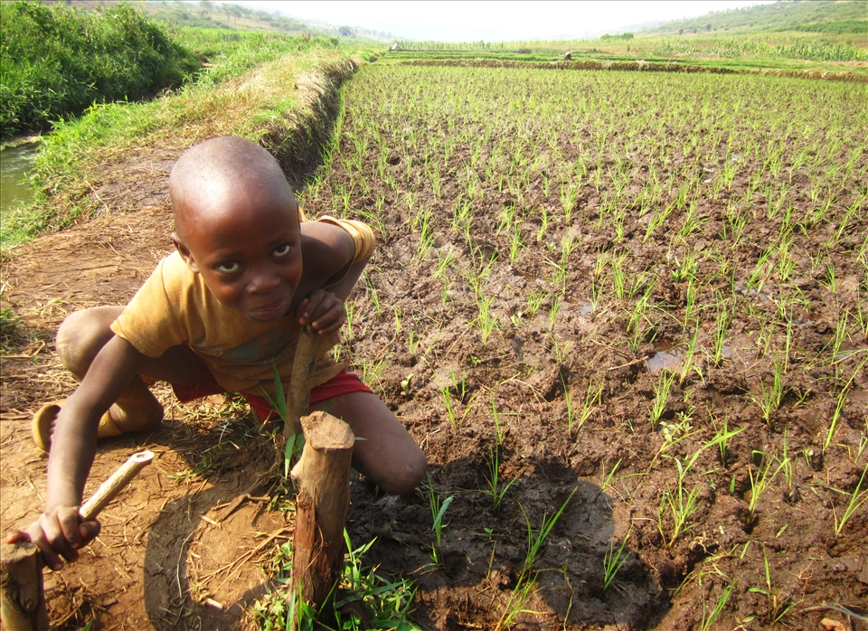 I met this young farmer on my journey to find and test the District's water pumps. He wanted to show me what he was growing. He was proud of his field, but wanted my approval nonetheless. My two thumbs up gave me a shiny smile from cheek to cheek. 