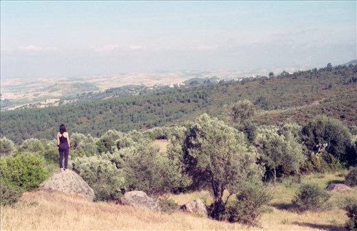 on the other side of the beach vastness and beauty of nature.