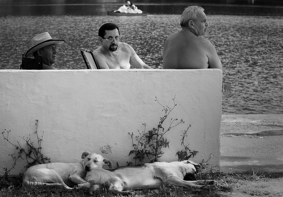 Summer: Three locals sitting on the lake's concrete benches while  two dogs sleep near them.