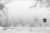 Winter: Everything is covered by a thick layer of snow and the place looks almost abandoned.: by mogosa, Views[276]