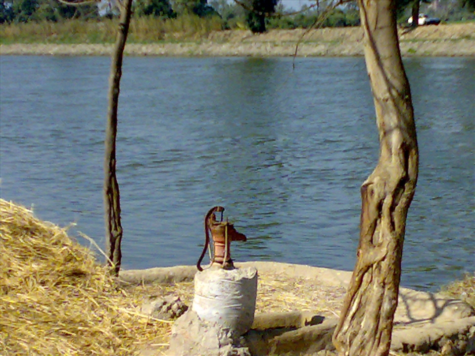 Egyptian Environment