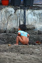 Activity pooping Belandingan villagers, Kintamani, Bali is still far from healthy. Here the dry soil conditions and lack of water makes them throw their feces directly into the soil in the garden behind the house. They make holes that are not deep enough, after removing dirt, the hole is covered with sandy soil.: by mohammadrezagemiomandi, Views[6631]