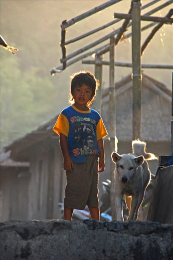 A child and the indigenous Kintamani dog was playing along with a traditional background kintamani. The warmth of the morning sun made it more beautiful atmosphere in the village. Here humans and animals coexist without insulation, for those animals are their friends.