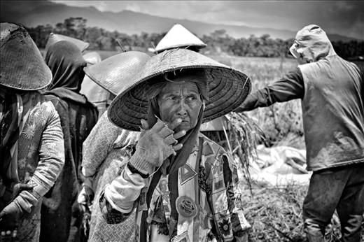 this is their face, to protect the body in the work, they use a head covering, long sleeves, to protect from the heat of the sun and relieve itching due to being on the field. they use gloves so their hands are not injured.