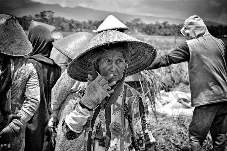 this is their face, to protect the body in the work, they use a head covering, long sleeves, to protect from the heat of the sun and relieve itching due to being on the field. they use gloves so their hands are not injured.