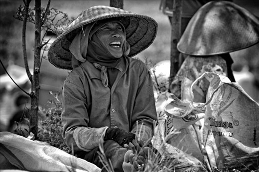 together and joking with colleagues is one reliever to accomplish for them. Simplicity, unity, mutual assistance, mutual care, is the noble values ​​of the farmers in the village who always hold dear.