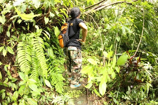 have the spirit of an explorer and say ok bring it on !