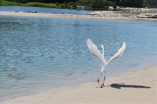 Freedom in Paradise. Palomino - Colombia