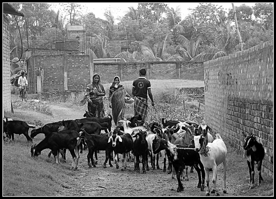 scene on the way to villege