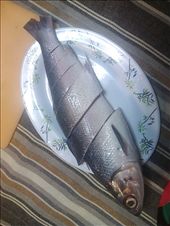 The milkfish cut into serving size portions.: by mondy, Views[790]