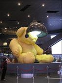 A creepy bear in Doha: by monika, Views[282]
