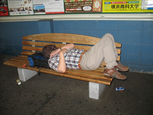 Yes, it's true. They can sleep everywhere.